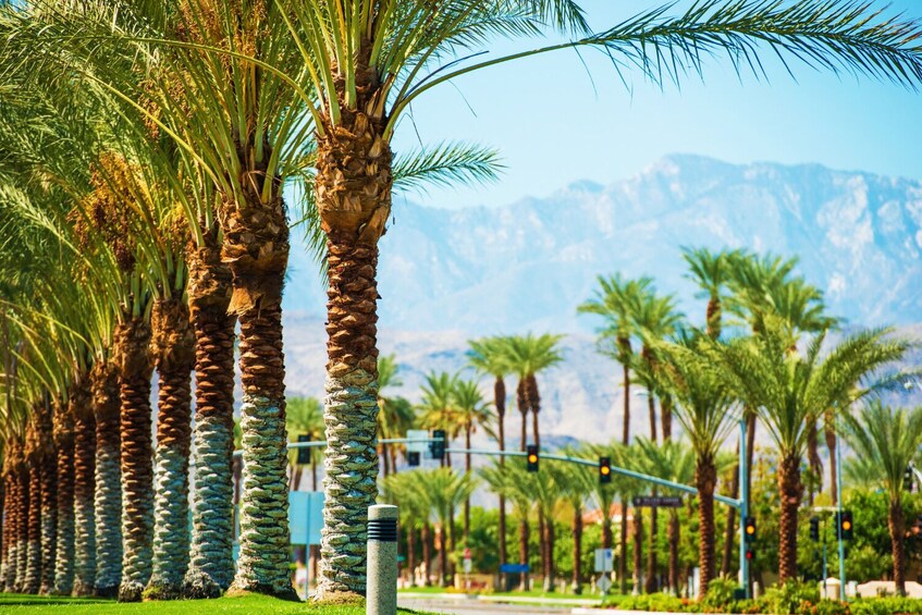 Palm Springs Self Guided Driving Audio Tour