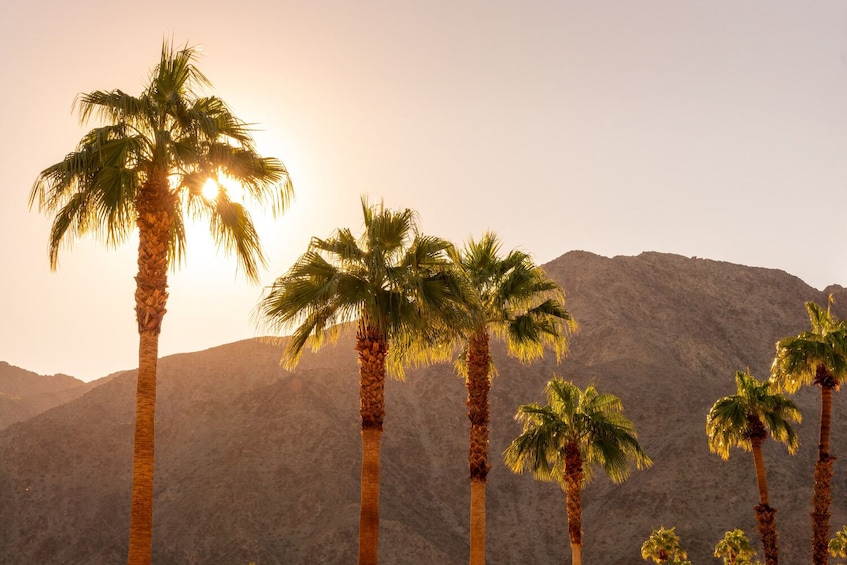 Palm Springs Self Guided Driving Audio Tour
