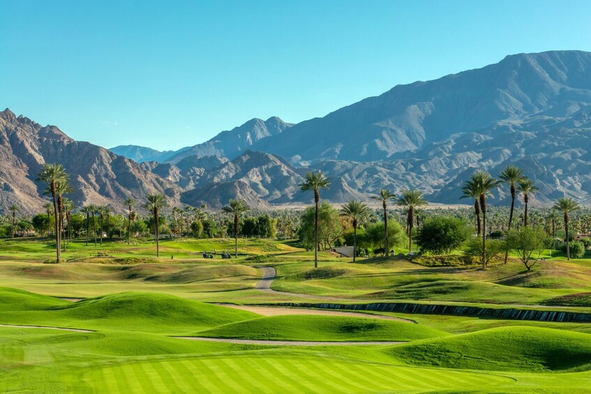 Palm Springs Architecture Tour – Self-Guided Drive
