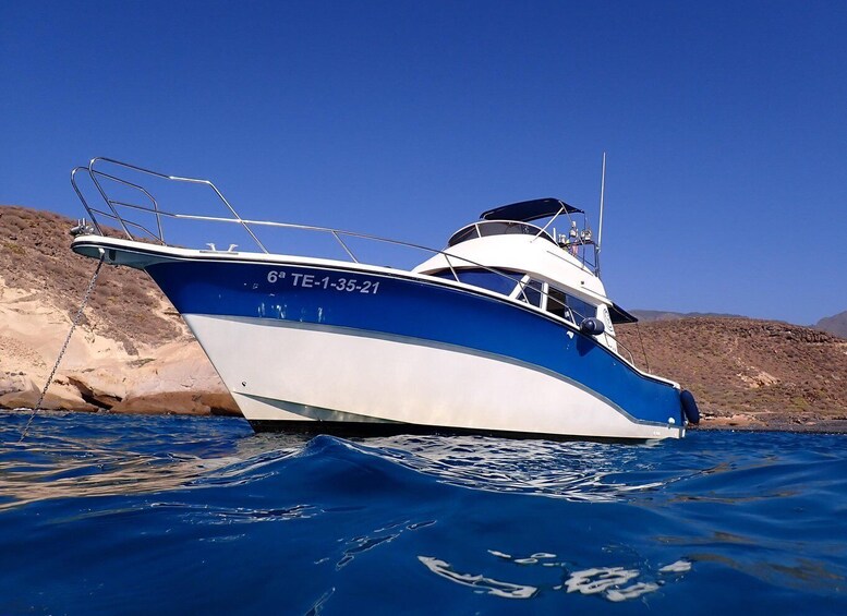 Picture 5 for Activity Puerto Colon : Shared/private boat trip with snack & Drinks