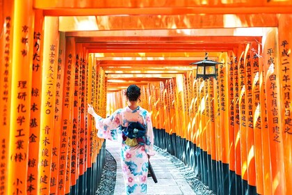 Kyoto/Osaka: Perjalanan Sehari ke Situs UNESCO dan Situs Sejarah Kyoto dan ...