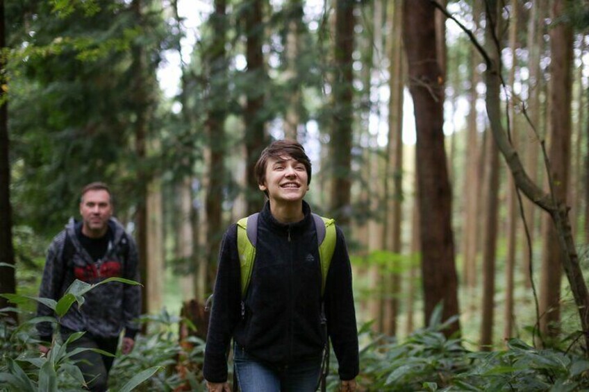 Hike up Mt. Omine and enjoy the view of Miyajima