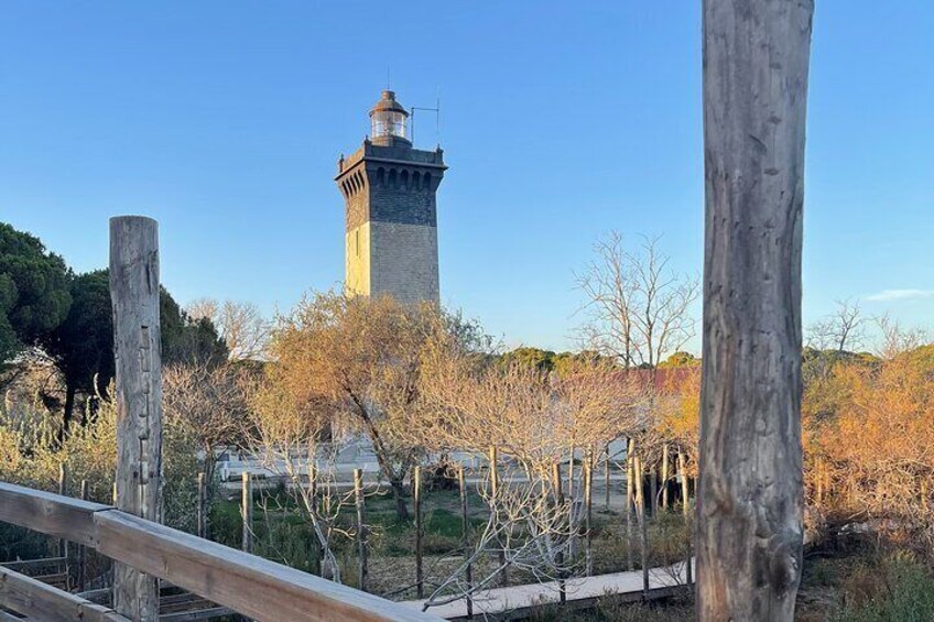 espiguette lighthouse