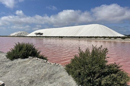 8 Hours Visit to the Camargue and the Salins d’Aigues-Mortes