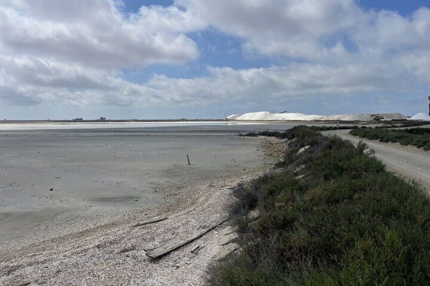 Beach with Aigues Mortes camel in the background