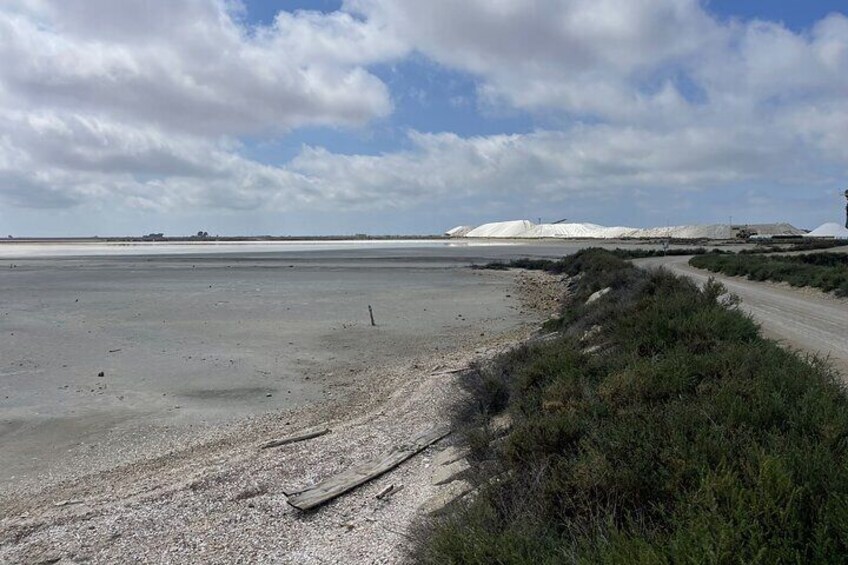 Beach with Aigues Mortes camel in the background