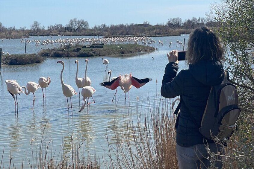 bird park