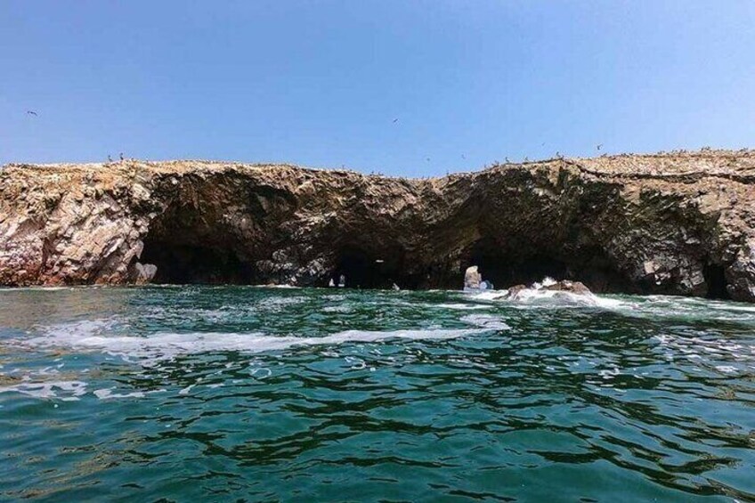 Ballestas Islands Tour from Puerto Martín Paracas for Cruises