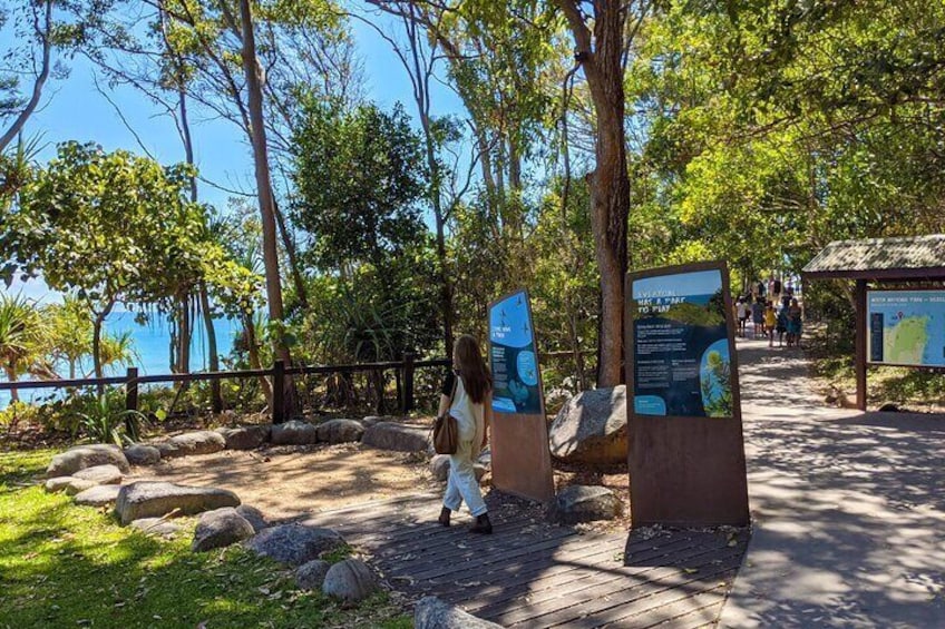 Full Day Private Tour Noosa Eumundi Markets Glass House Mountains