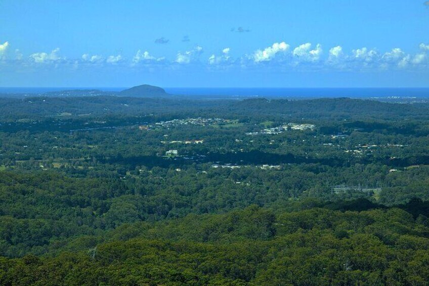 Full Day Private Tour Noosa Eumundi Markets Glass House Mountains