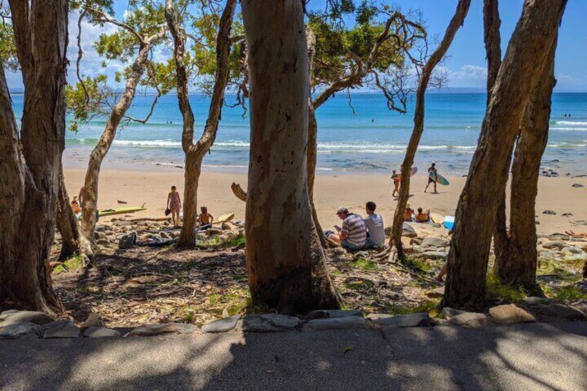 Full Day Private Tour Noosa Eumundi Markets Glass House Mountains