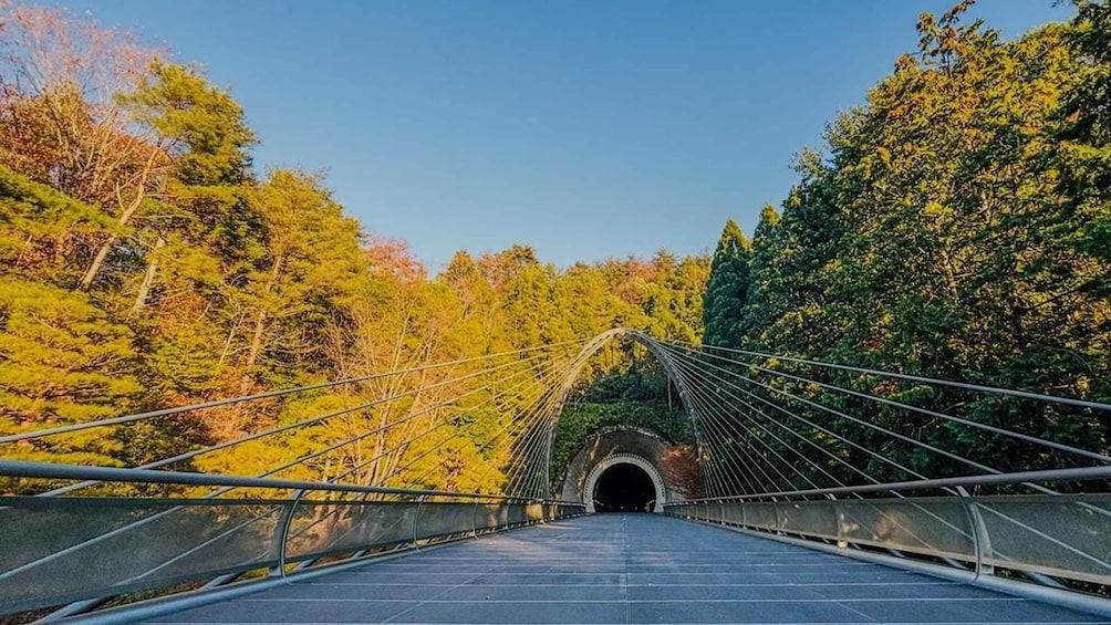 Picture 2 for Activity Shiga: Miho Museum, Lake Biwa & Waterbird Shrine Day Trip