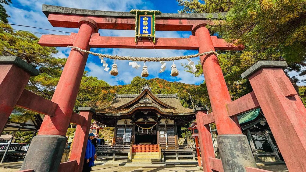 Picture 6 for Activity Shiga: Miho Museum, Lake Biwa & Waterbird Shrine Day Trip