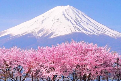 東京富士山、河口湖、山中湖、温泉日帰りツアー