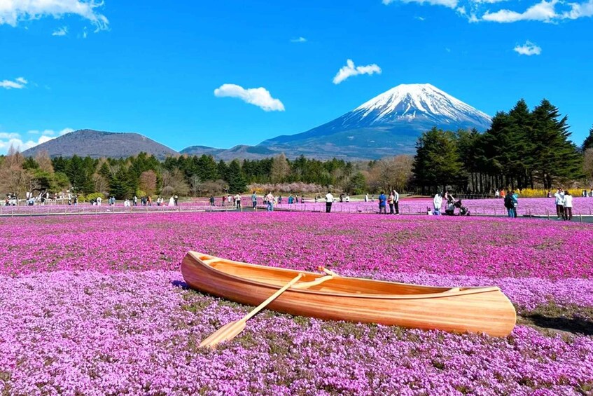 Picture 2 for Activity Tokyo: Mt. Fuji, Lake Kawaguchi,Lake Yamanaka,Onsen Day Tour