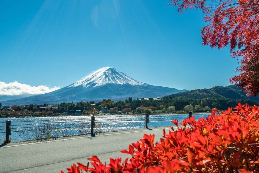 Picture 9 for Activity Tokyo: Mt. Fuji, Lake Kawaguchi,Lake Yamanaka,Onsen Day Tour