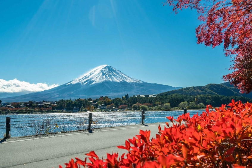 Picture 9 for Activity Tokyo: Mt. Fuji, Lake Kawaguchi,Lake Yamanaka,Onsen Day Tour