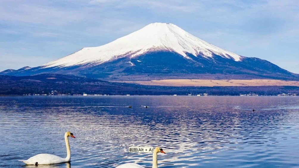 Picture 13 for Activity Tokyo: Mt. Fuji, Lake Kawaguchi,Lake Yamanaka,Onsen Day Tour