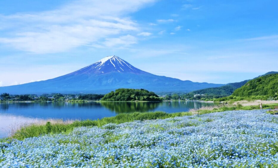 Picture 15 for Activity Tokyo: Mt. Fuji, Lake Kawaguchi,Lake Yamanaka,Onsen Day Tour