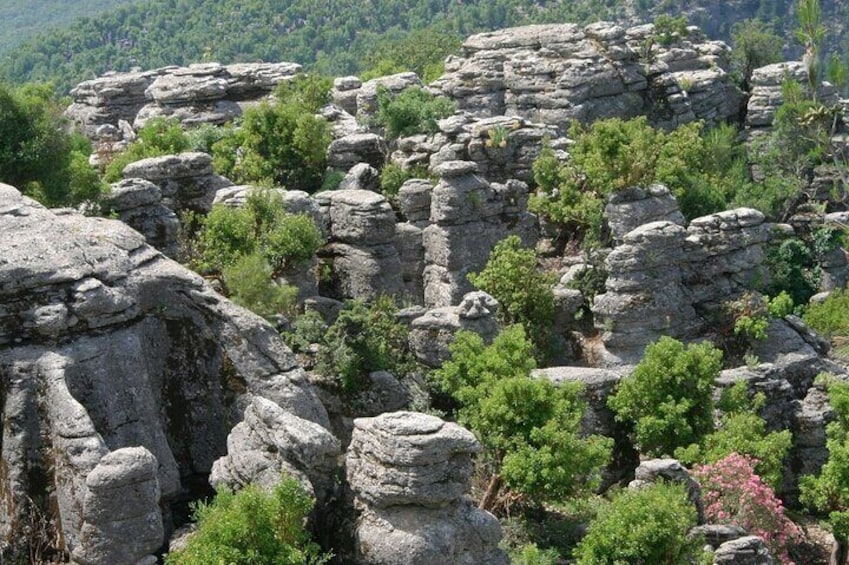 Guided Full Day Tazi Canyon and Selge City Tour in Manavgat