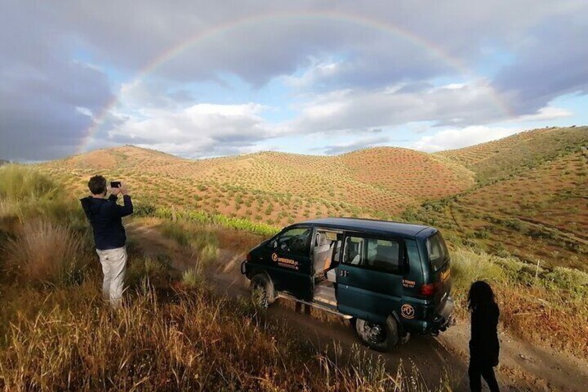 Tour in a 4x4 vehicle where the landscape is always surprising!