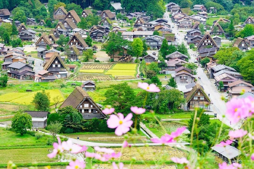 Picture 7 for Activity Nagoya: Shirakawa-go Village and Takayama UNESCO 1-Day Trip