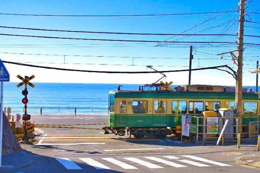 Private Sightseeing Tour in Kamakura and Enoshima