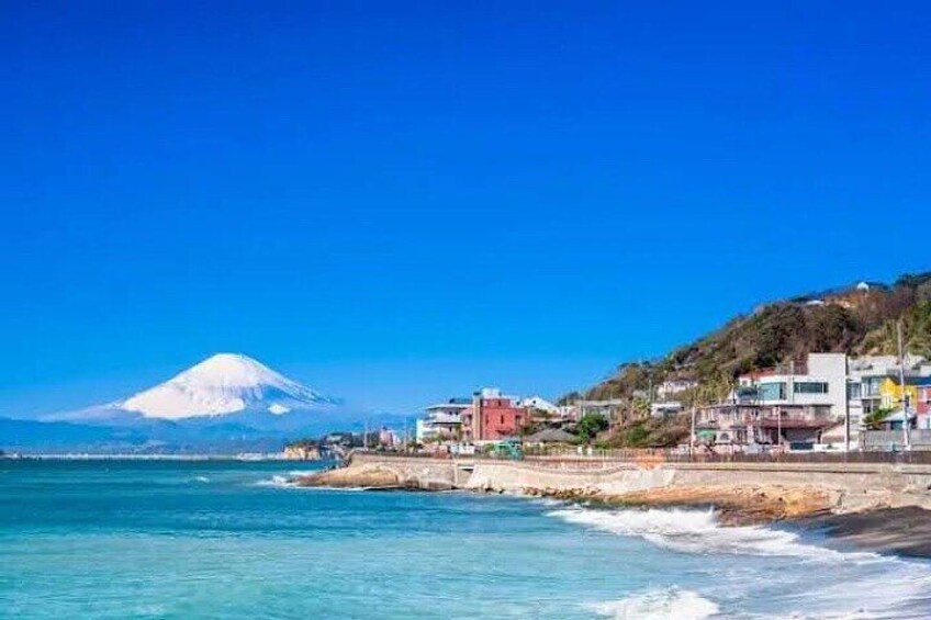 Private Sightseeing Tour in Kamakura and Enoshima