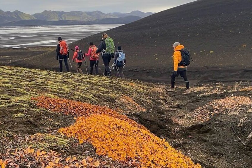 Hiking with Outsiders Iceland