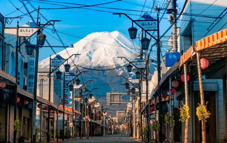 Tokyo: Mt.Fuji Area, Oshino Hakkai & Kawaguchi Lake Day Trip