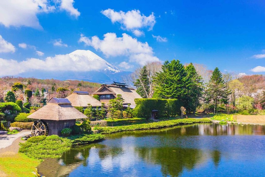 Picture 8 for Activity Tokyo: Mt.Fuji Area, Oshino Hakkai & Kawaguchi Lake Day Trip