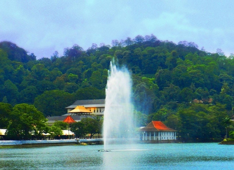 Kandy and Pinnawala Private Full–Day Tour