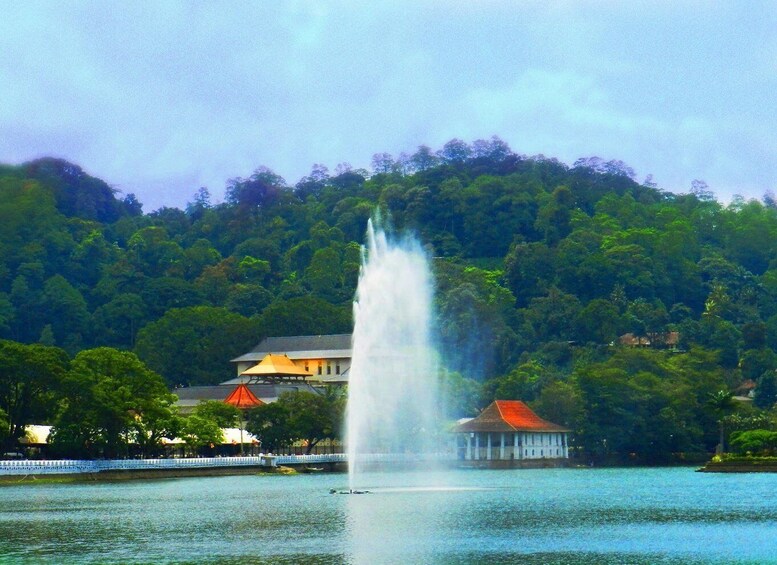 All Inclusive - Kandy and Pinnawala Private Full–Day Tour