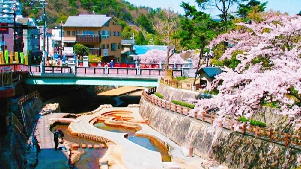 Picture 3 for Activity Kobe: Mt Rokko night view & Arima Onsen & Sanda Outlet Tour