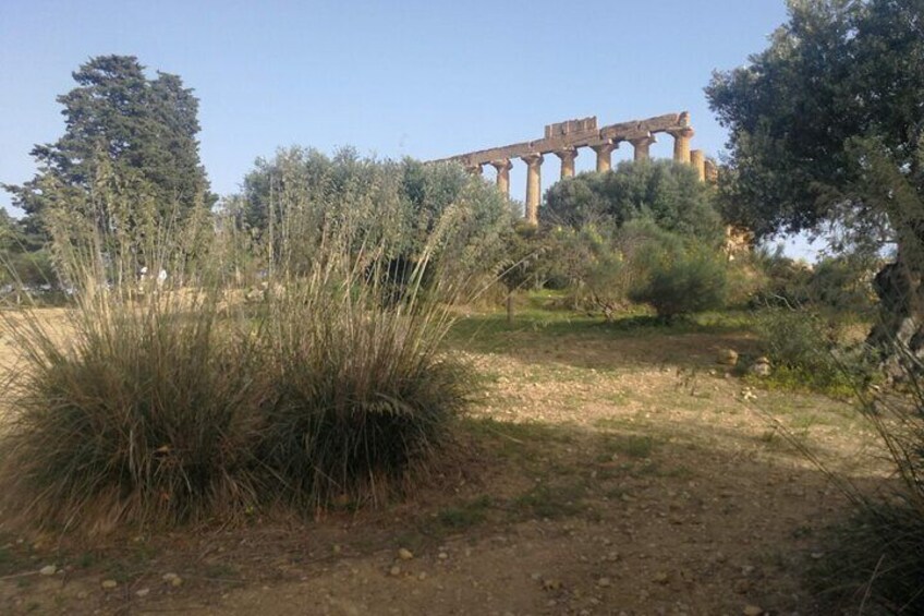 Valley of the Temples, Temple of Juno