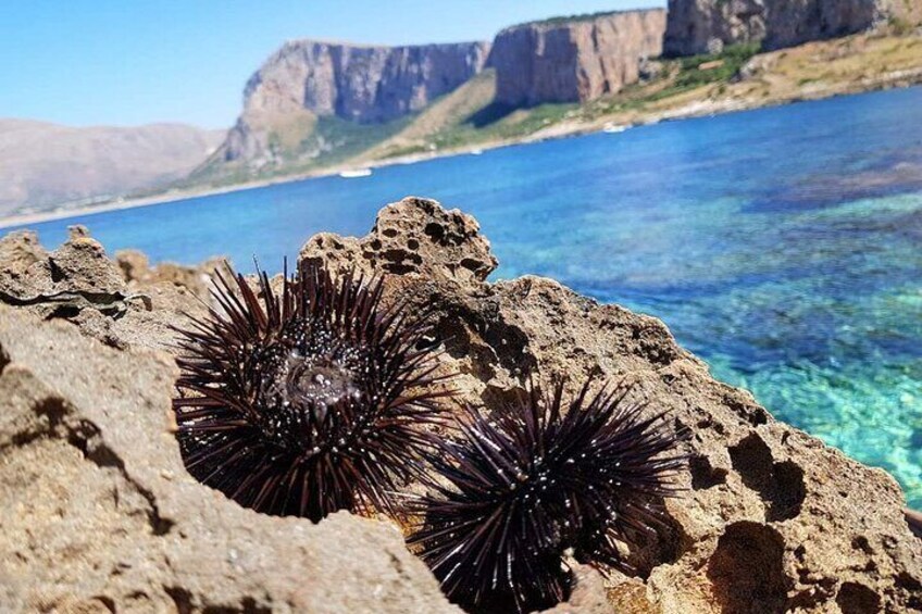 San Vito Lo Capo