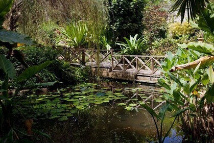 Full Day Garden Delight Private Tour in Barbados