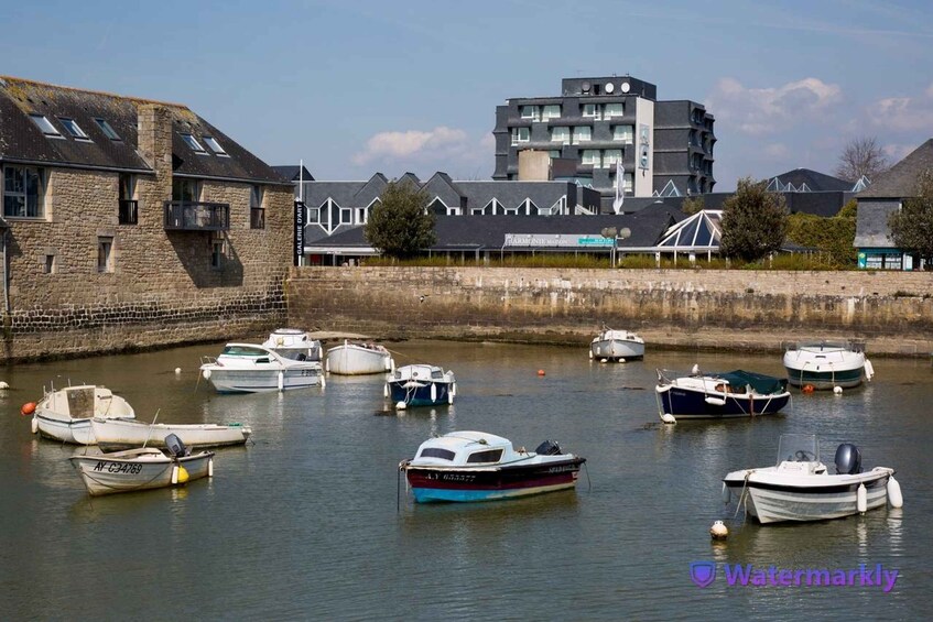 Picture 4 for Activity Carnac Tour: Megalithic Marvels and La Trinite Sur Mer