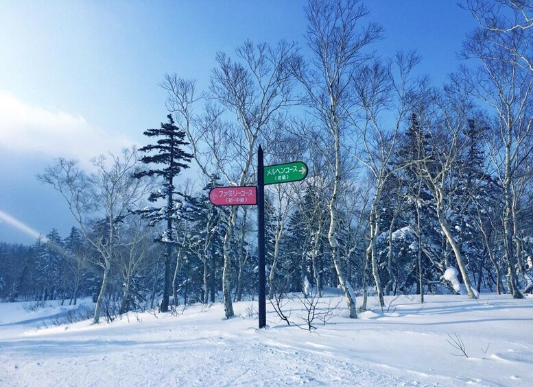 Picture 3 for Activity Hokkaido: Full-Day Sapporo Ski Resort Trip with Gear Options