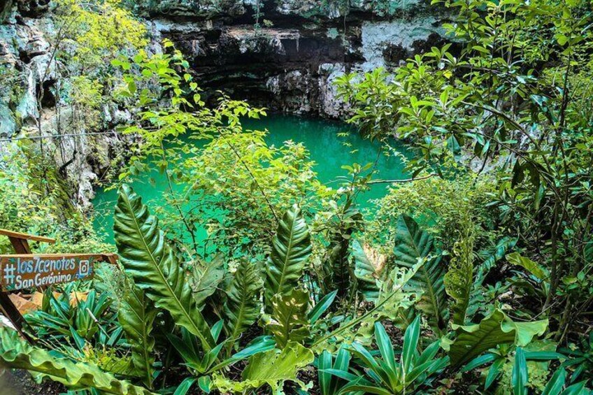 Choose your experience to live in Los 7 Cenotes San Gerónimo