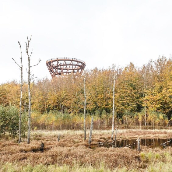 The Forest Tower and Forgotten Giants-A day tour from Copenhagen