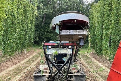 Expérience Hallertau avec récolte du houblon, déjeuner et musée du houblon