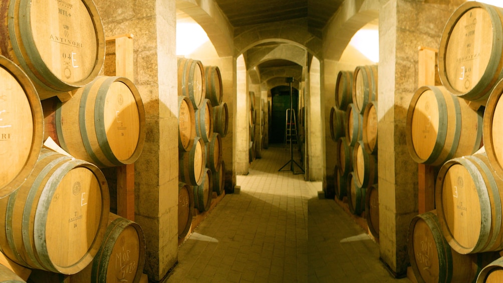 Wine barrels in a cellar