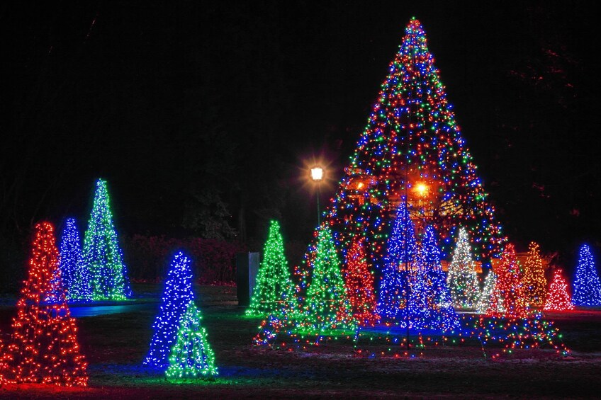 From Toronto: Winter Festival of Lights Niagara Falls Evening Tour