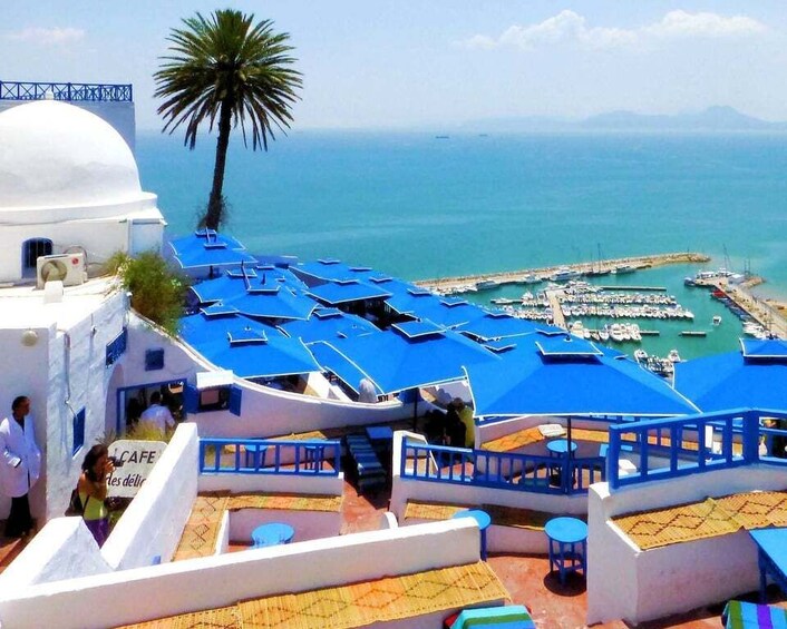 Picture 4 for Activity Tunis Governorate: Full-Day Tour