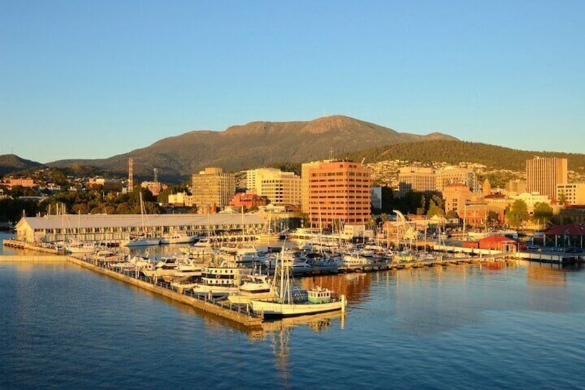 Private Tour of Tahune Airwalk and Hastings Caves from Hobart