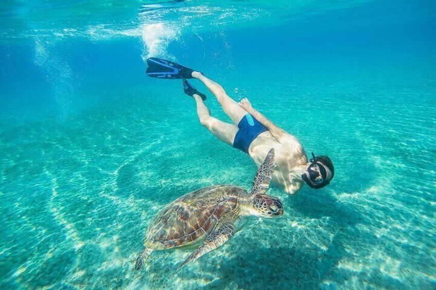 Turtle and Shipwreck Snorkel Private Tour in Barbados