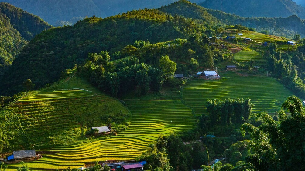 Vietnam: Sapa 2 Days Trekking Cat Cat - Lao Chai - Ta Van from Hanoi