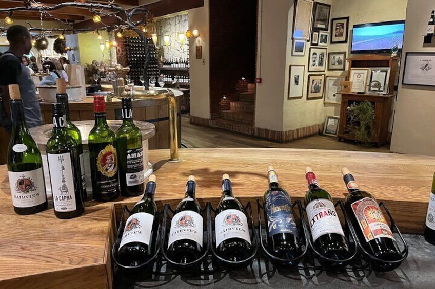 Aquila Game Reserve Safari with wine tasting, Transport & Lunch