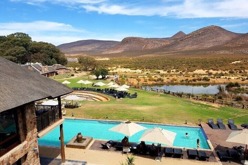 Private Full-day Big 5 Aquila Game Reserve Tour